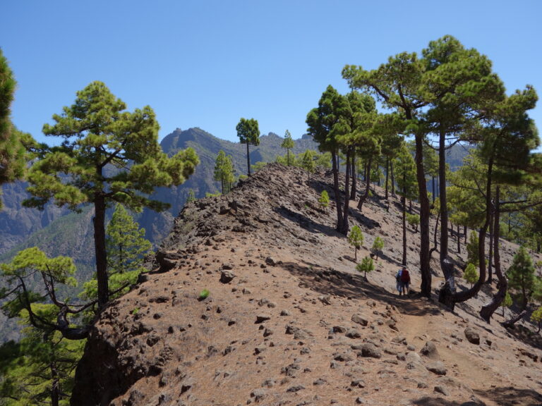 Balcón de Taburiente: Kanarische Küche mit Caldera-Blick in El Paso
