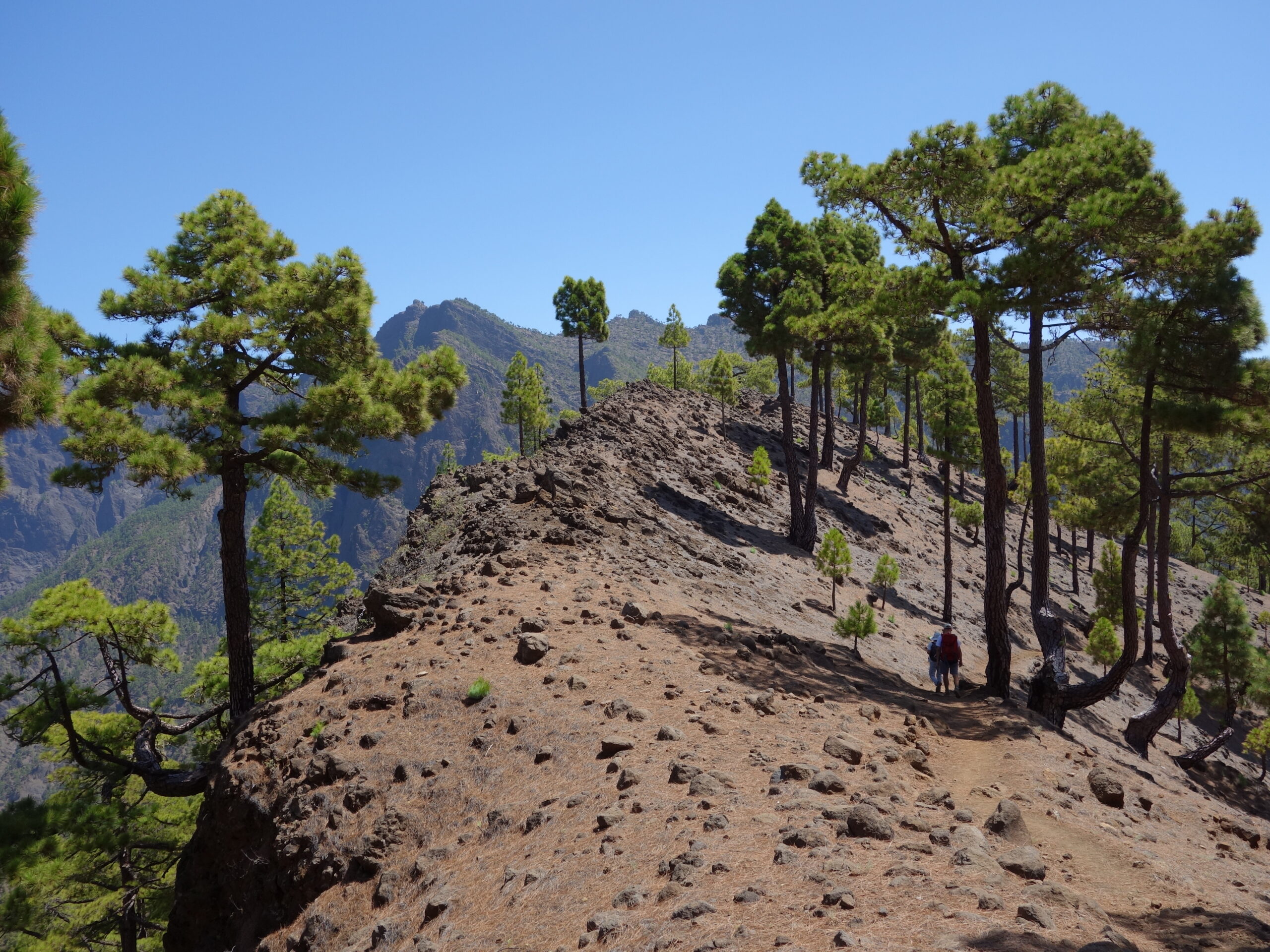 Caldera de Taburiente auf La Palma – Blick in den Talkessel