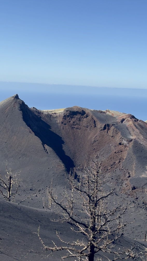 Vulkan Tajogaite auf La Palma: Aktuelle Lage 2026 & Zukunft der Cumbre Vieja