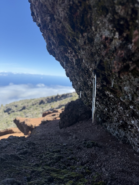 La Palma im Winter: Was ist offen, was lohnt sich, was beachten
