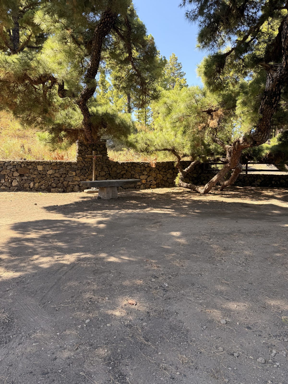 Rastplatz mit Steinbank und Wegkreuz unter Kanarischen Kiefern am Pino de Santo Domingo, Riveros, Fuencaliente, La Palma