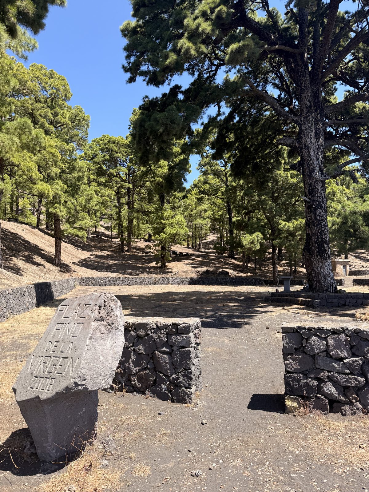 Gravierter Gedenkstein Plaza Pino de la Virgen 2008 mit Lavastein-Mauern im Kiefernwald, Fuencaliente, La Palma