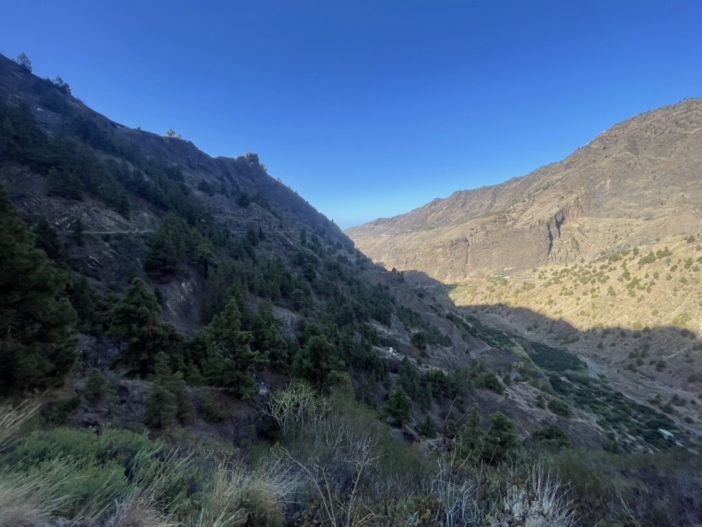 Tiefer Barranco auf La Palma mit kiefernbewaldeten Hängen und kargen Felswänden unter blauem Himmel