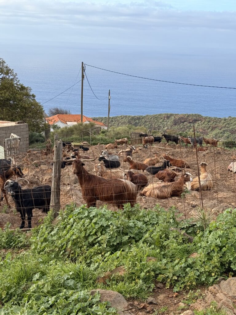 Garafía La Palma: Die entlegenste Gemeinde im Nordwesten
