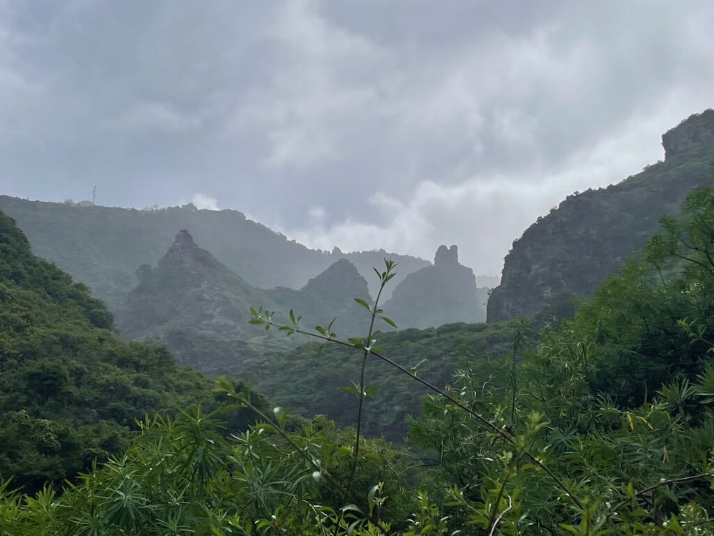Grün bewaldete Bergkämme mit zackiger Felsnadel im Nebel, üppige Vegetation im Vordergrund