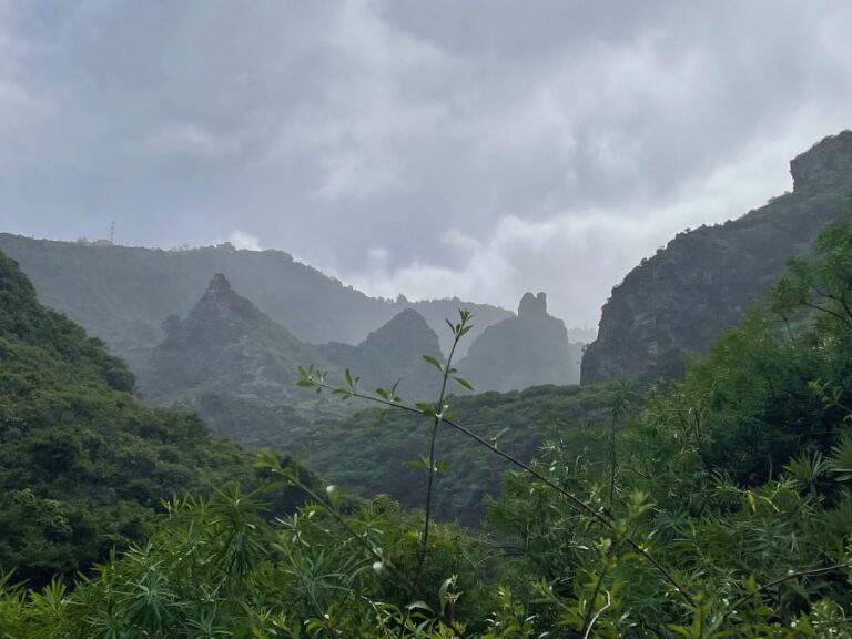 Los Tilos Lorbeerwald: UNESCO-Biosphäre und Tunnelwanderung