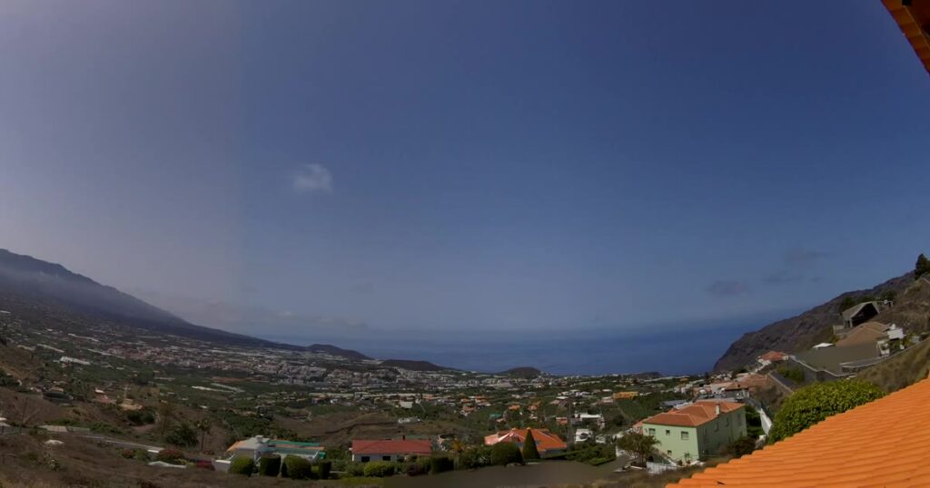 Braune Flecken im Meer: Mikroalgen vor La Palma