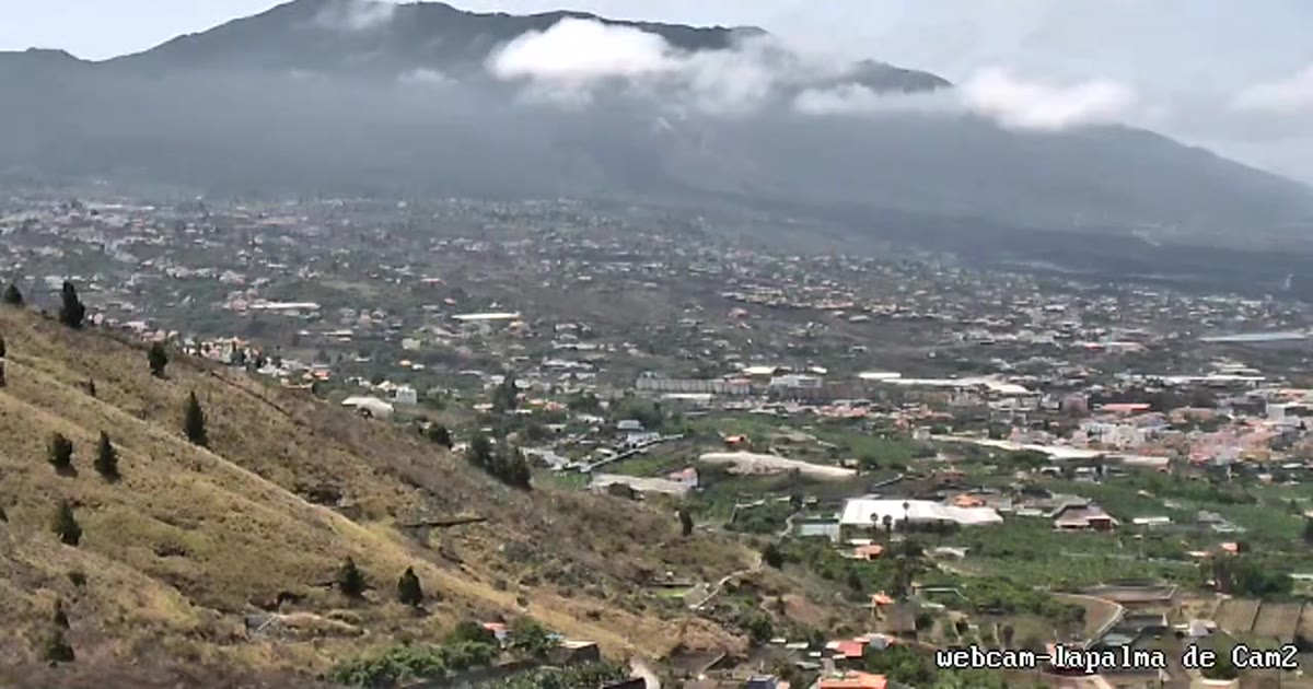 Waldbrand-Vorwarnstufe auf La Palma: Was Wanderer und Urlauber den ganzen Sommer beachten müssen