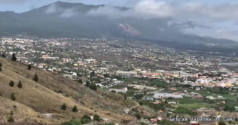 BYD La Palma: Die erste chinesische Auto-Niederlassung der Insel (El Paso)
