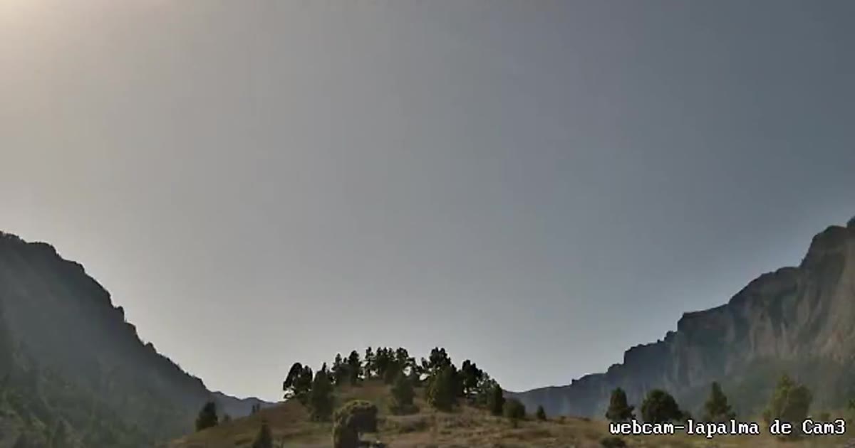 Kiefern und Felswände in der Caldera de Taburiente — Webcam-Standbild
