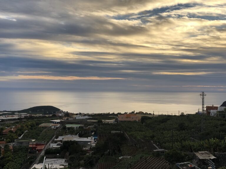 Plátano de Canarias: Warum die beste Banane Spaniens aus dem Aridane-Tal kommt